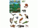 Rainforest Animal Cut-outs