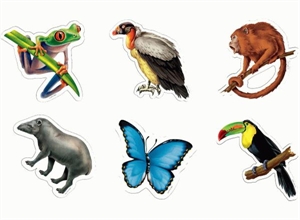Rainforest Animal Cut-outs