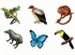 Rainforest Animal Cut-outs